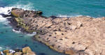 Cabo Polonio in Uruguay, South America