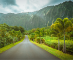 Hawaii road