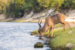 Beste Reisezeit Botswana