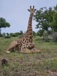 South Africa