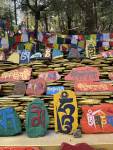 Indien Reisetipps