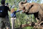 Africa