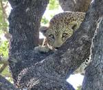 South Africa