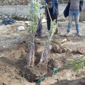 Kickstart Rebuilding Lives and Livelihood