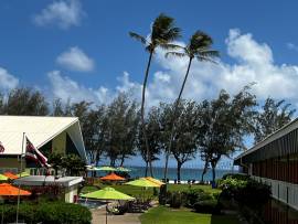 Best of Hawaii Four Island Tour