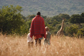 Go on a nature walk to spot animals