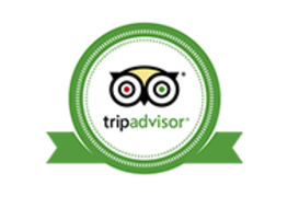 TripAdvisor Badge Logo