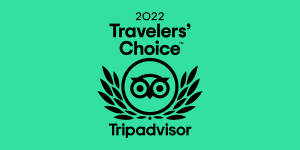 2022 Traveler's Choice Award from Tripadvisor