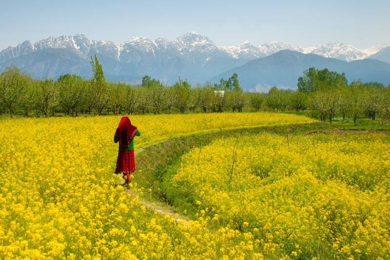 Indien