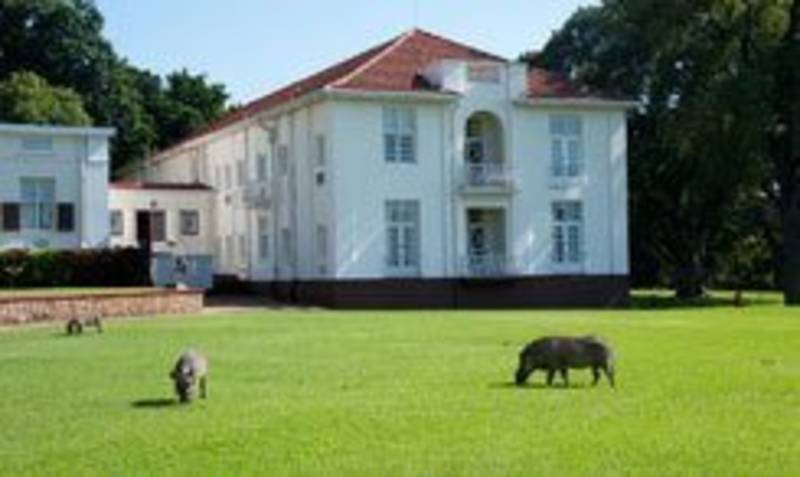 Guest image for the review