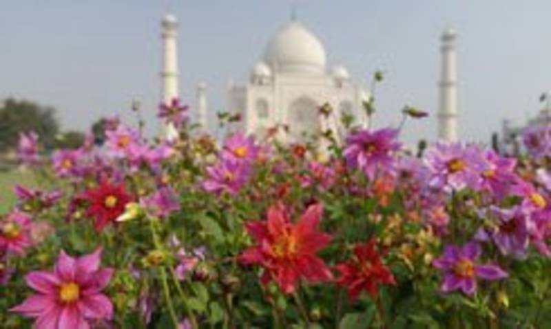 Enchanting Travels Guest Review
