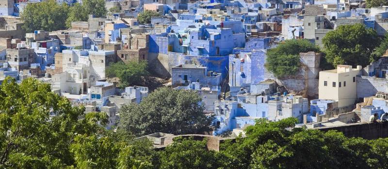 Blau gemalte Häuser in Jodhpur