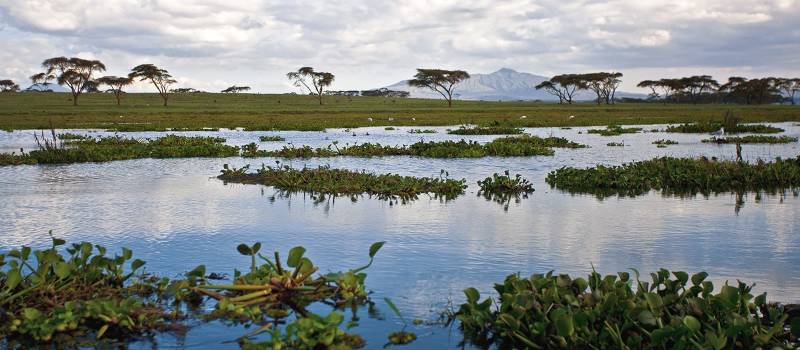 Kenias Hauptstadt Nairobi ist umgeben von spektakulärer Natur