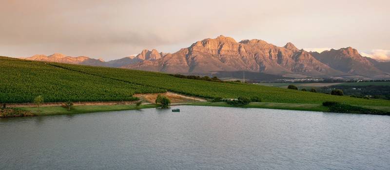 Bezaubernde Landschaft in den Winelands von Südafrika