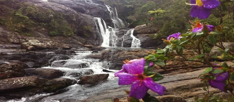 Wasserfälle und farbenfrohe Vegetation in Nuwara Eliya
