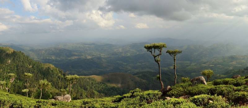 Traumhafter Aussicht von Nuwara Eliya in Sri Lanka