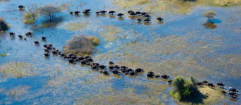 Das Okavango Delta zählt zu den schönsten Sehenswürdigkeiten in Afrika