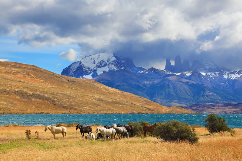 Chile - lake Laguna Azul - Torres del Paine