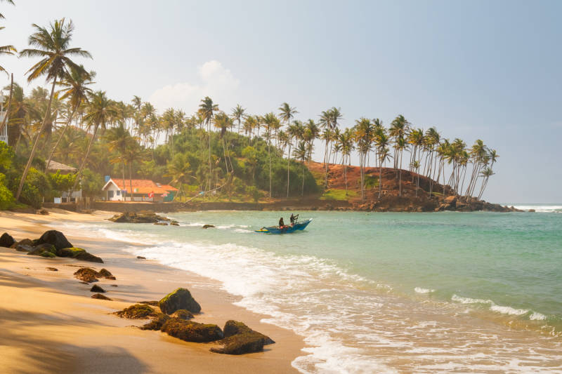 Coconut palm and sun lights through trees on beach with fishermen which is going to the water, Mirissa, Sri Lanka