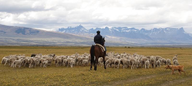 ESA-Chile-Torres del Paine-Outings- best time to travel to Chile