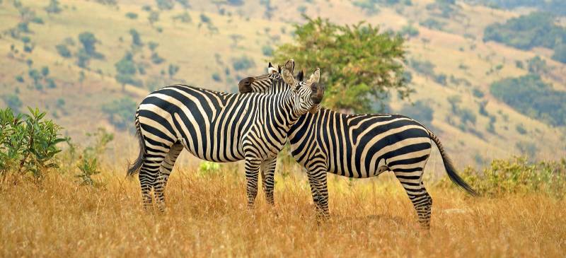 things to do in rwanda