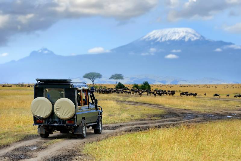 ‘Lion King’ inspired African Safari in the Masai Mara