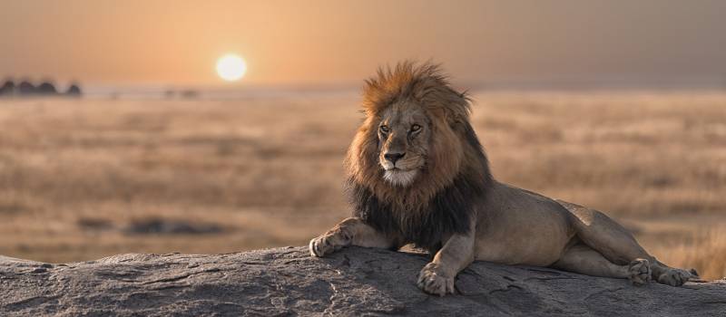 Laikipia at sunrise