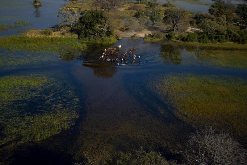 Five Enchanting Experiences for Your Custom Africa Tour