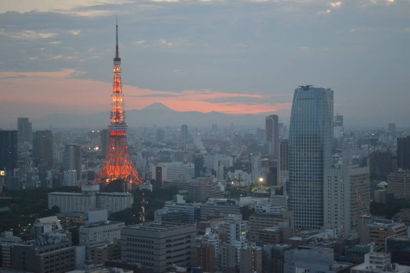Enchanting Travels Asia Japan Vacations - Tokyo skyline