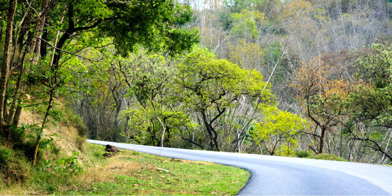 Bandipur road, South India, Asia