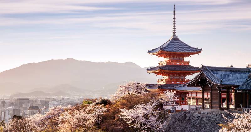 Enchanting Travels Asia Tours Sunset at Kiyomizu-dera Temple and cherry blossom season (Sakura) on spring time in Kyoto, Japan