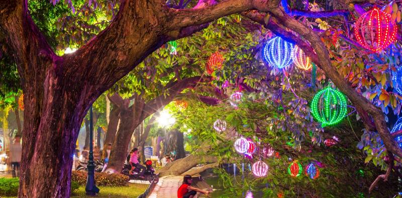 Enchanting Travels - Asia Tours, Vietnam- Guest Image -Margarethe Dragon