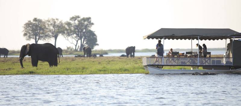 Enchanting Travels-Botswana Tours-Chobe National Park-Chobe Under Canvas-Boating1