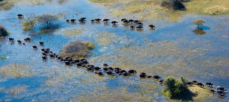 Enchanting Travels - Botswana Tours - Guest image -Franziska Becker