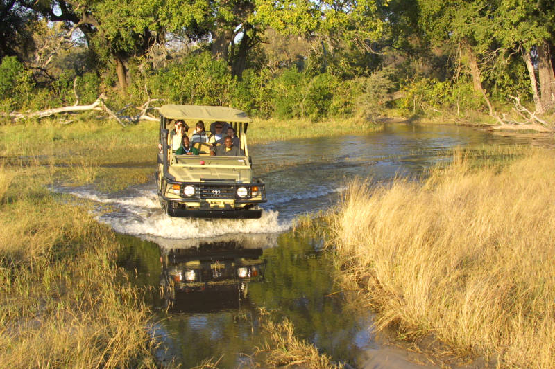 Discover the Best Time to Visit the Okavango Delta