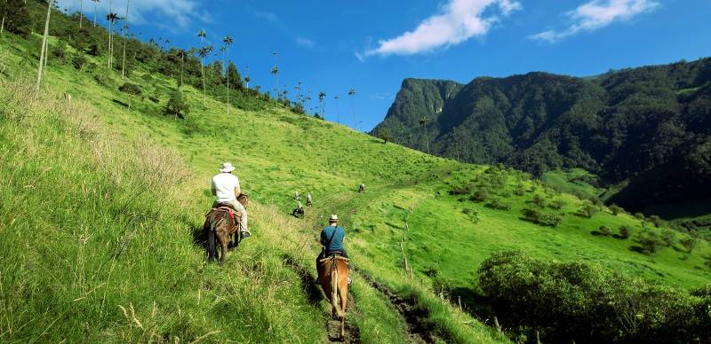 Horse riding, Colombia, South America
