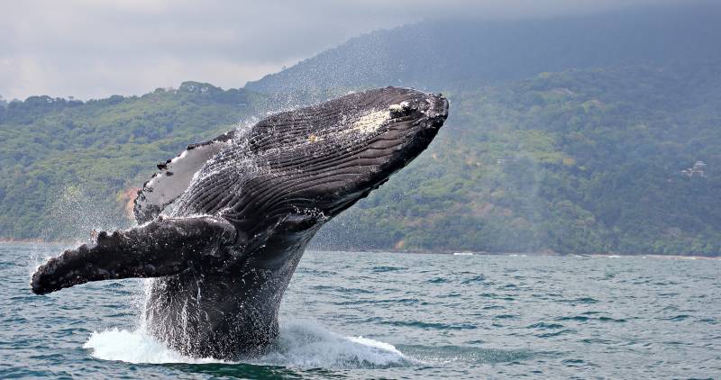Costa Rica