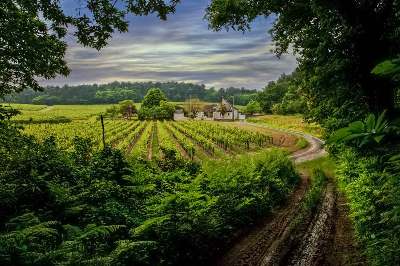 Enchanting Travels France Tours Idyllic Farm - Loire Valley