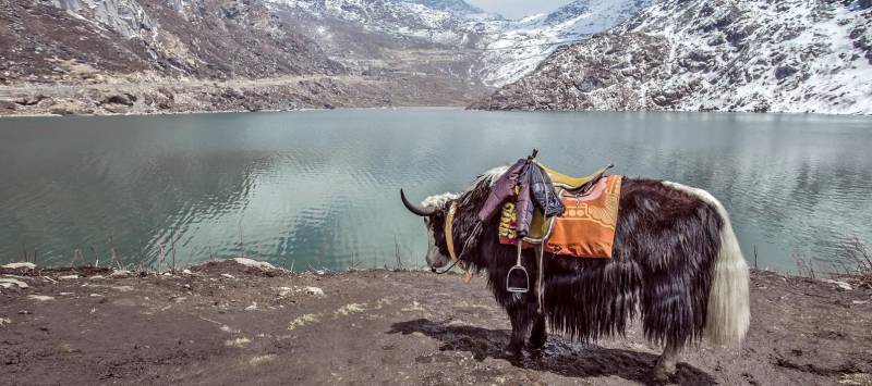 Enchanting Travels India Tours Gangtok Lake