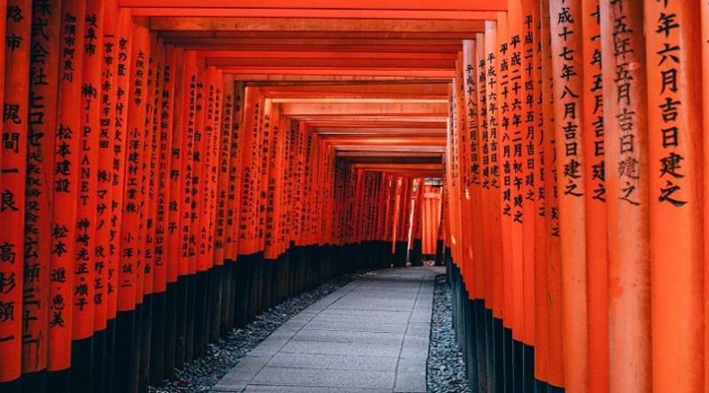 Best time to Visit Japan