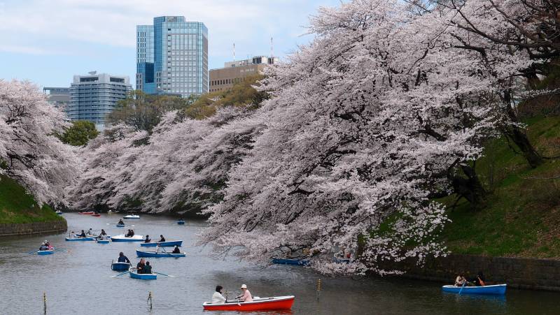 Private Japan tours