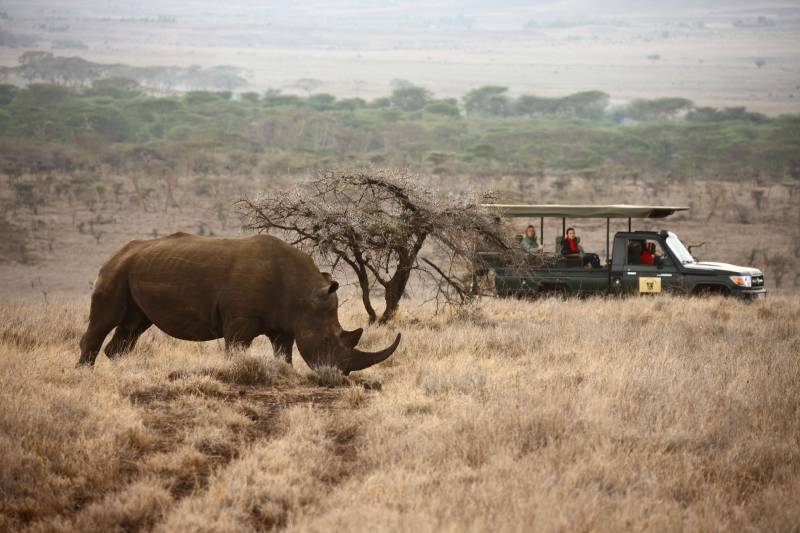 Kenya or Tanzania: Which wilderness safari is the one for you?