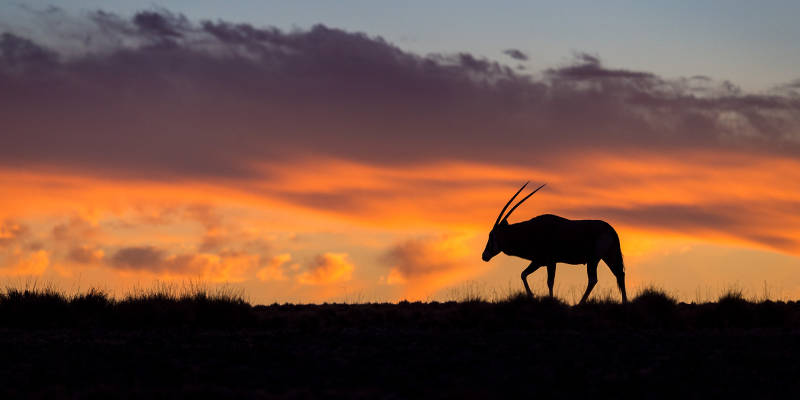 Sunset in Sossusvlei, Namibia