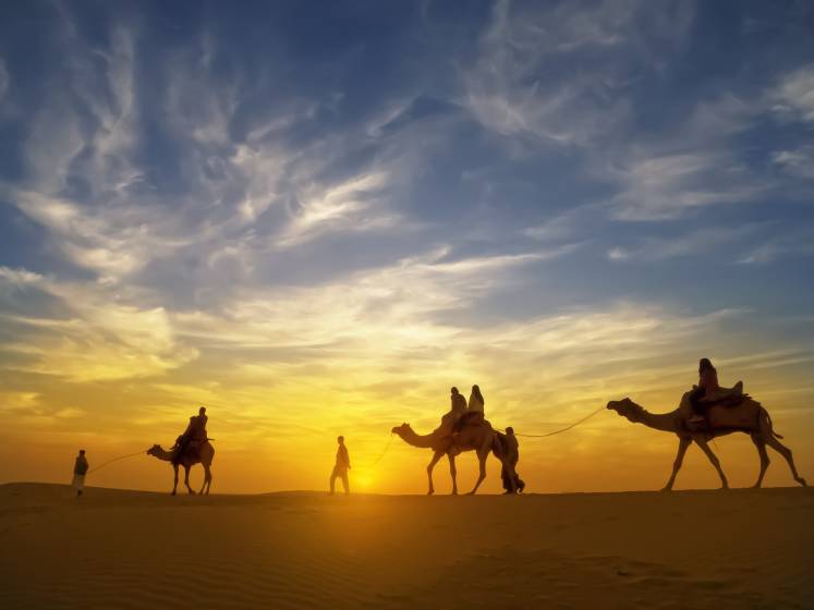 India Travel Deals: Rajasthan