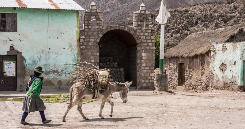 Woman carry her backload donkey by the square of Andagua in the volcanos valley, Arequipa, Peru