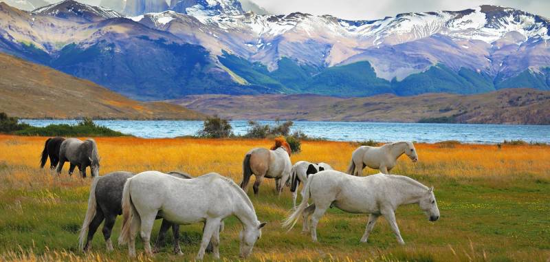 chile travel guide