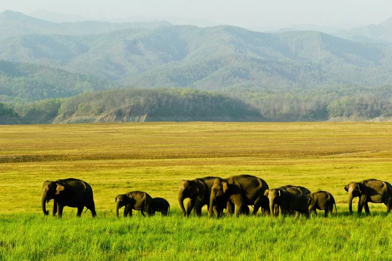 Asia Travel Deals: Thekkady