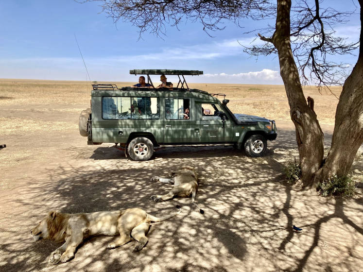 Enchanting Travels