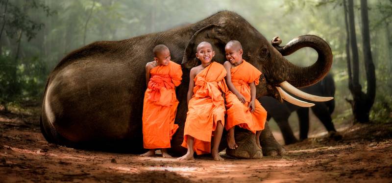 safety in Thailand