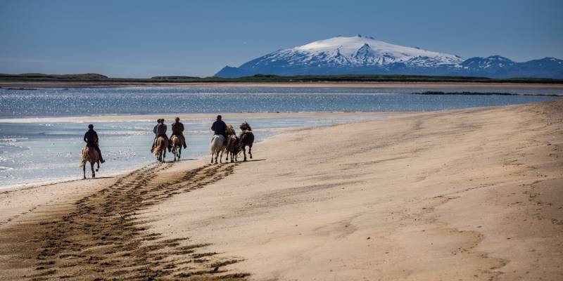 Enchanting Travels Things to do in Iceland Horse riding on the Beach